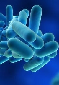 legionella preventie